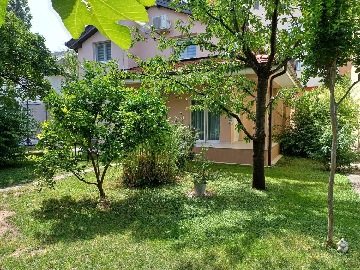Villa Tamara With Garden And River View - Free Private Parking - Garage モスタル エクステリア 写真